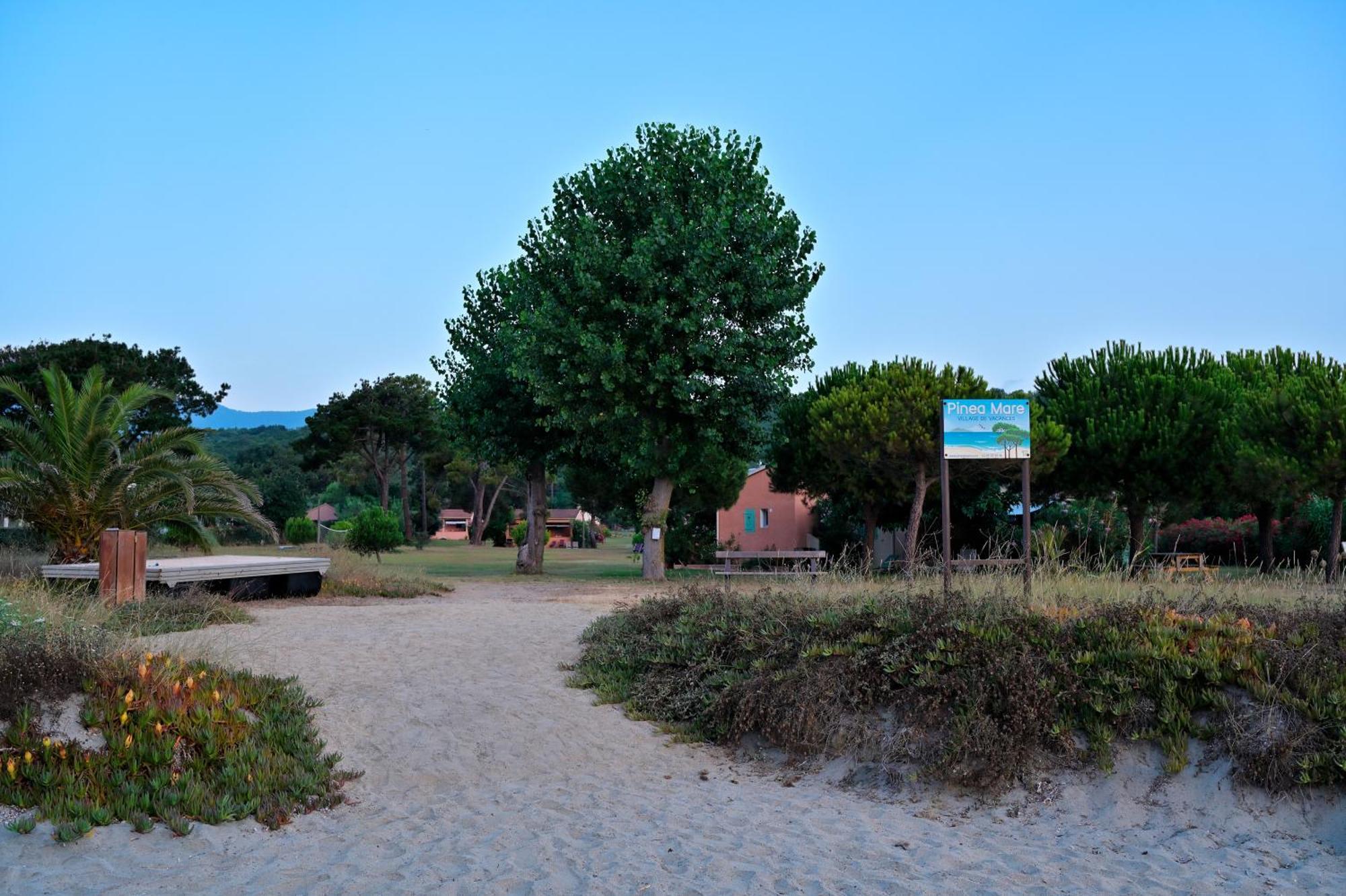 فندق Pinea Mare Poggio Mezzana المظهر الخارجي الصورة