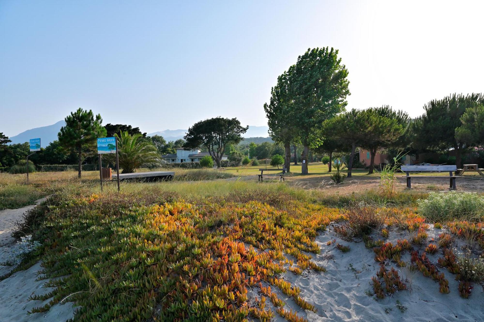 فندق Pinea Mare Poggio Mezzana المظهر الخارجي الصورة